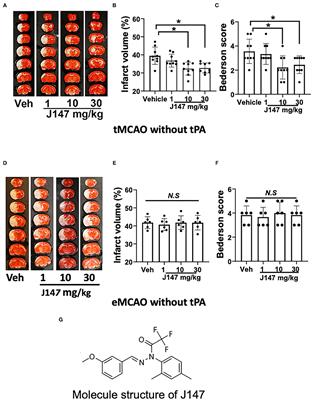 J147 Reduces tPA-Induced Brain Hemorrhage in Acute Experimental Stroke in Rats